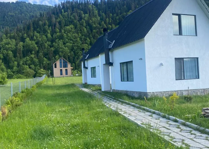 White House Near Borjomi Sadgeri