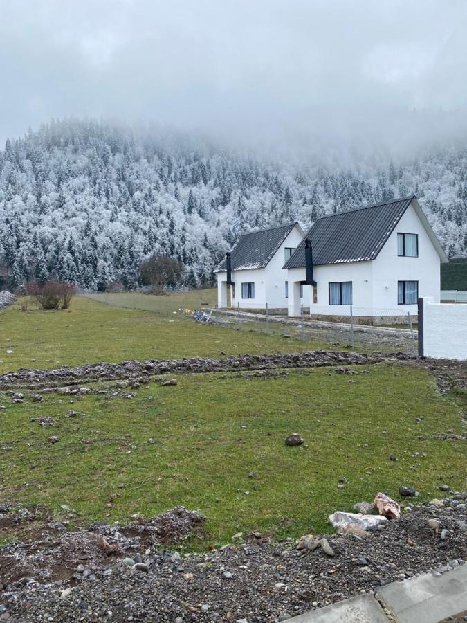 White House Near Sadgeri Apartment Borjomi